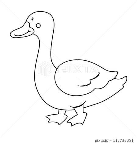 Farm animal_09 113735351
