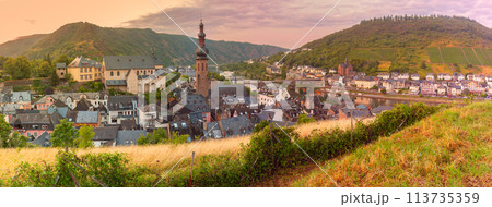 Aerial view of Cochem, Germany 113735359