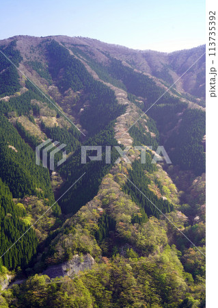 ドローンで上空から撮影した上北山村ナメゴの登り龍 ドローンで上空から撮影した上北山村ナメゴの登り龍 113735392