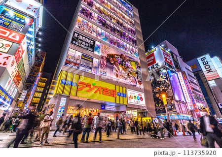 日本の東京都市景観 外国人観光客らで賑わう秋葉原などを望む。コロナ禍前と変らない光景…＝19日 113735920