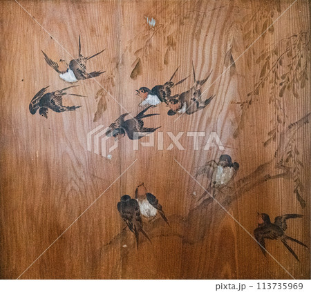 高澤観音日龍峯寺籠堂の天井絵 高澤観音日龍峯寺籠堂の天井絵 113735969