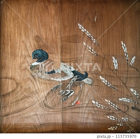 高澤観音日龍峯寺籠堂の天井絵 高澤観音日龍峯寺籠堂の天井絵 113735970