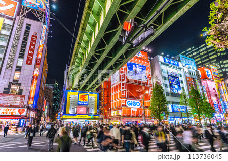 日本の東京都市景観 外国人観光客らで賑わう秋葉原などを望む。コロナ禍前と変らない光景…＝19日 113736045