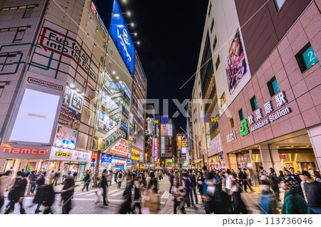 日本の東京都市景観 外国人観光客らで賑わう秋葉原などを望む。コロナ禍前と変らない光景…＝19日 113736046