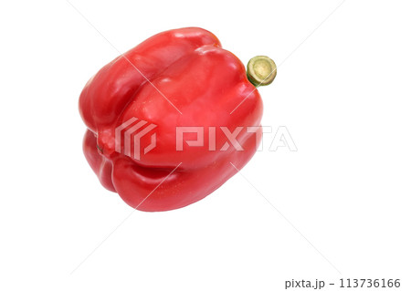 A red pepper with a green stem on a white background 113736166