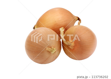 A yellow onion isolated on a white background 113736202