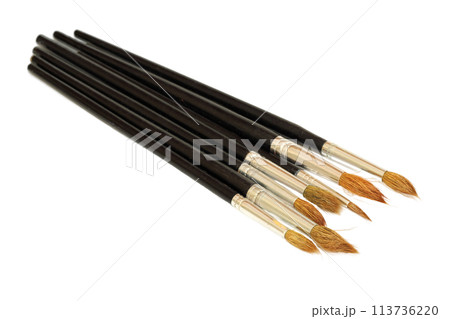 Paint brush with black handle closeup isolated on white background 113736220