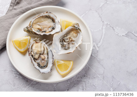 Fresh oysters with lemon on plate Fresh oysters with lemon on plate 113736436