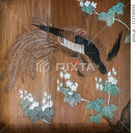 高澤観音日龍峯寺の籠堂天井絵 高澤観音日龍峯寺の籠堂天井絵 113736934