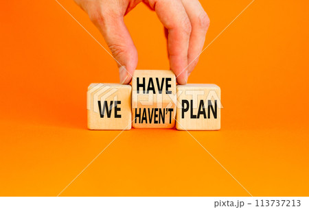 We have or not plan symbol. Concept word We have or have not plan on beautiful wooden cubes. Beautiful orange table orange background. Business and we have or not plan concept. Copy space. 113737213