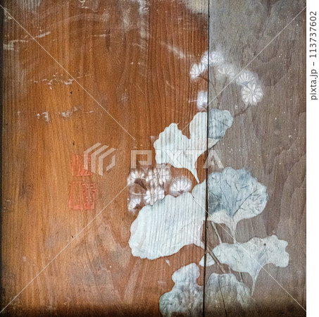 高澤観音日龍峯寺の籠堂天井絵 高澤観音日龍峯寺の籠堂天井絵 113737602