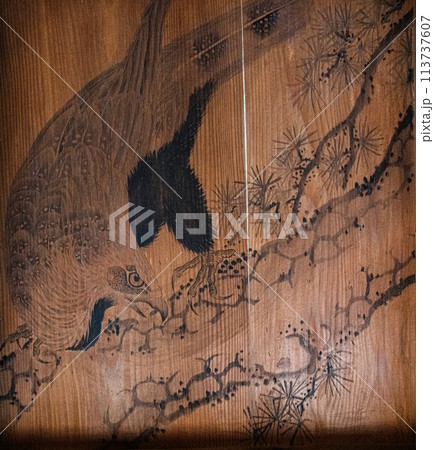 高澤観音日龍峯寺の籠堂天井絵 高澤観音日龍峯寺の籠堂天井絵 113737607