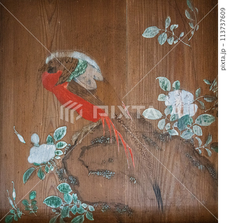高澤観音日龍峯寺の籠堂天井絵 高澤観音日龍峯寺の籠堂天井絵 113737609