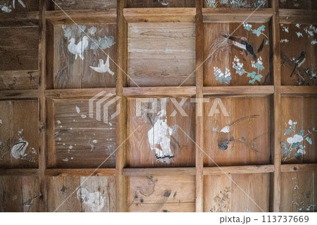 高澤観音日龍峯寺の籠堂天井絵 高澤観音日龍峯寺の籠堂天井絵 113737669