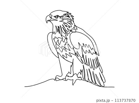 Eagle. One line drawing vector illustration. Eagle. One line drawing vector illustration. 113737870