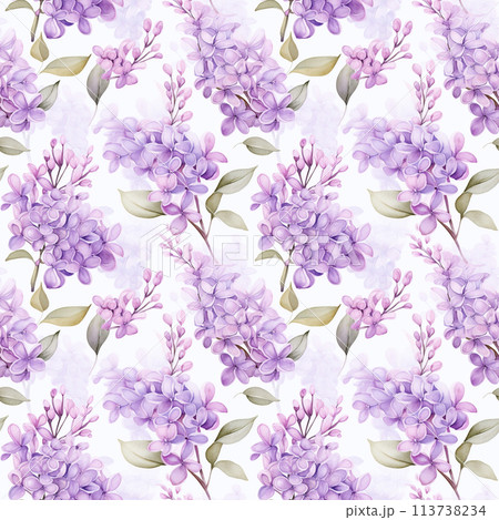 Seamless pattern with watercolor lilac branches.のイラスト素材 [113738234] - PIXTA