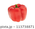 Bright red peppers on white isolated background for vegetarian dishes closeup. 113738871