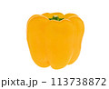 Raw vegetable bright yellow peppers on a white isolated background for vegetarian dishes. 113738872