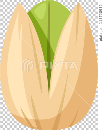 かわいいピスタチオのイラスト 113738959
