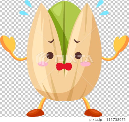 焦っているかわいいピスタチオのキャラクター 113738973
