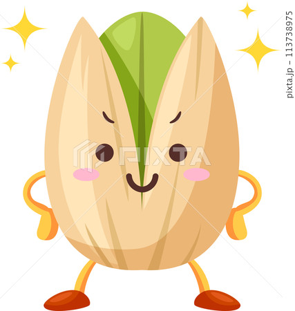 得意気なかわいいピスタチオのキャラクター 得意気なかわいいピスタチオのキャラクター 113738975