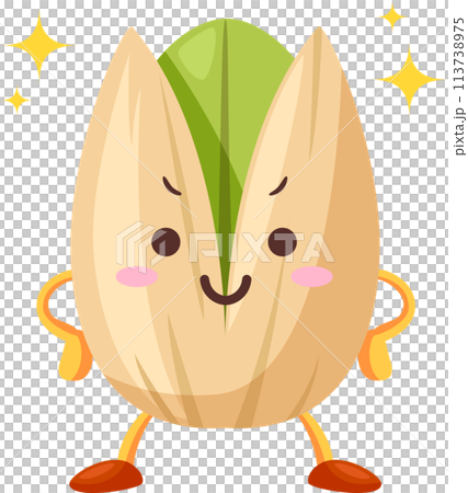 得意気なかわいいピスタチオのキャラクター 得意気なかわいいピスタチオのキャラクター 113738975