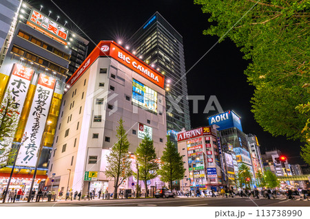 日本の東京都市景観 外国人観光客らで賑わう秋葉原などを望む。コロナ禍前と変らない光景…＝19日 113738990