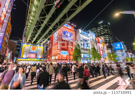 日本の東京都市景観 外国人観光客らで賑わう秋葉原などを望む。コロナ禍前と変らない光景…＝19日 113738991