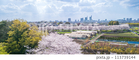 「埼玉県」ドローンで春の見沼田んぼを撮影 113739144