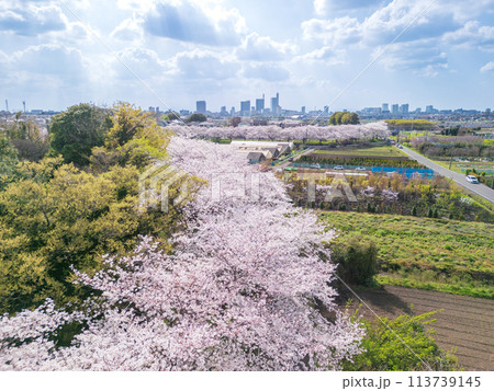「埼玉県」ドローンで春の見沼田んぼを撮影 「埼玉県」ドローンで春の見沼田んぼを撮影 113739145