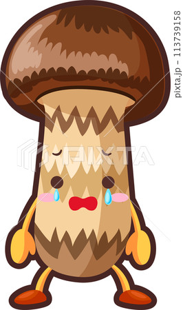 涙を流すかわいいマツタケのイラスト 113739158