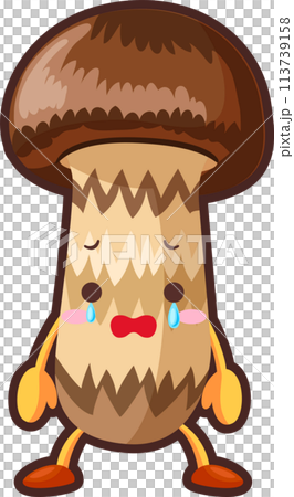 涙を流すかわいいマツタケのイラスト 113739158