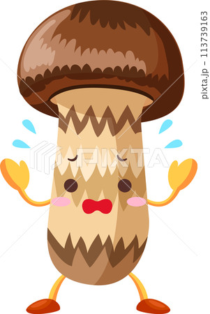 焦るかわいいマツタケのイラスト 113739163