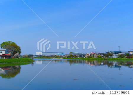 埼玉県松伏町古利根川2024年4月 113739601
