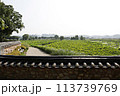 water canal in the city 113739769