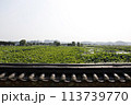 water canal in the city 113739770