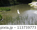 water canal in the city 113739773