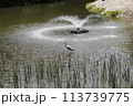 water canal in the city 113739775