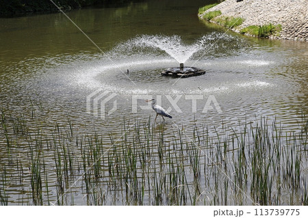 water canal in the city 113739775