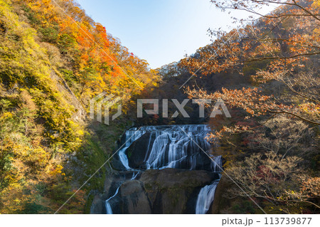 茨城県大子町の秋　日本三名瀑　紅葉の袋田の滝 113739877