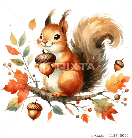 watercolor sketch of a cute red squirrel 113740093