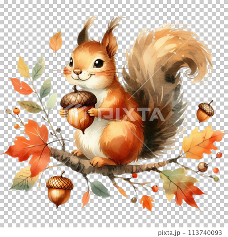 watercolor sketch of a cute red squirrel 113740093