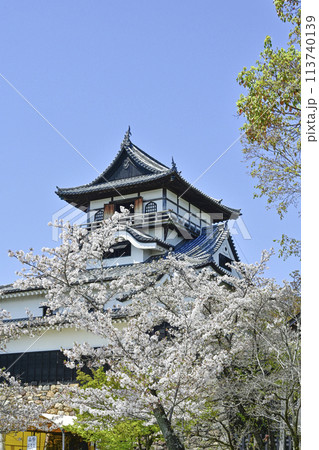 国宝犬山城 113740139