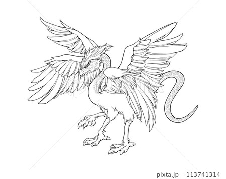 山海経(古代中国の地理書)に載っている酸与の線画イラスト 山海経(古代中国の地理書)に載っている酸与の線画イラスト 113741314