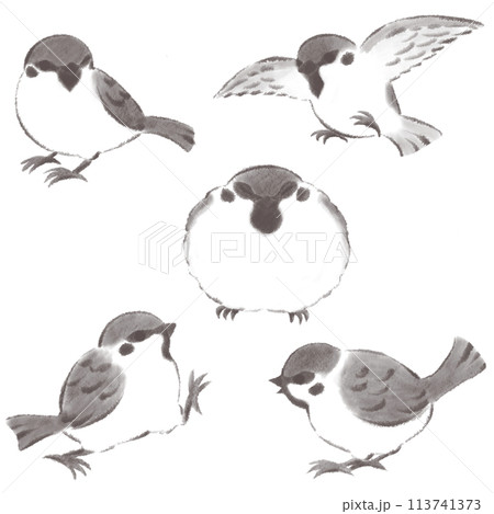 雀の様々なポーズセット 水墨画風 雀の様々なポーズセット 水墨画風 113741373