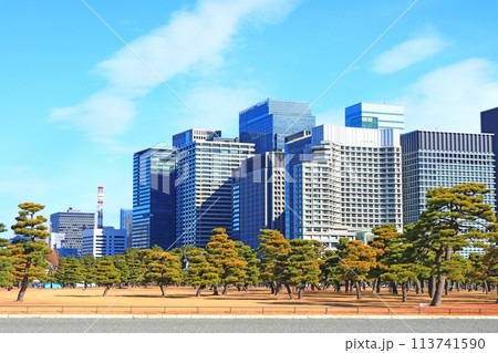 東京都千代田区、皇居外苑とビル群の風景 113741590