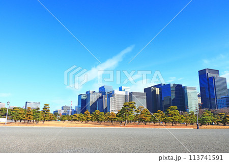 東京都千代田区、皇居外苑とビル群の風景 東京都千代田区、皇居外苑とビル群の風景 113741591