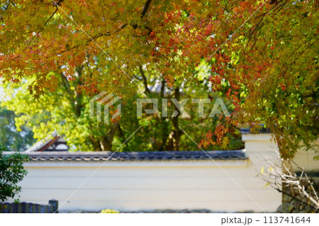 奈良のお寺・秋の秋篠寺の紅葉の季節 113741644