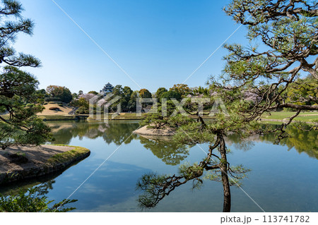 岡山県　春の岡山後楽園の岡山城が見えるお庭 113741782