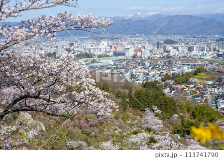 春の朝　一面の花木に覆われる花見山からの眺望　福島県 113741790